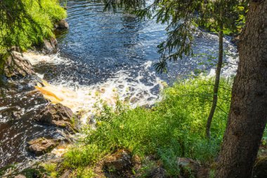 Güzel, doğal, taşlı çağlayan şelale, ormandaki yeşil bitkiler, güzel, açık bir günde yazın park etmek.