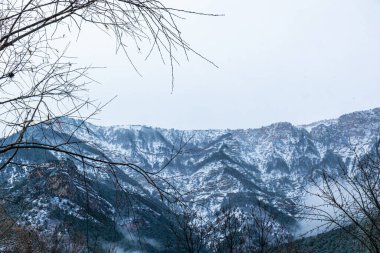güzel dağ manzarası, kışın bitkilerle sisli, bulutlu, karlı