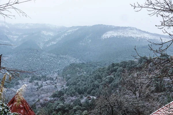 Bellissimo Paesaggio Montano Con Piante Inverno Nebbia Nuvole Neve — Foto Stock