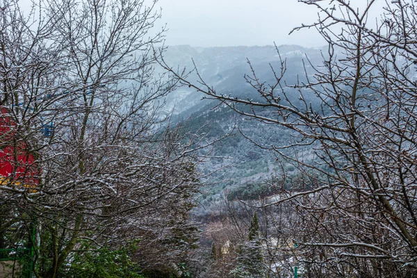 Bellissimo Paesaggio Montano Con Piante Inverno Nebbia Nuvole Neve — Foto Stock