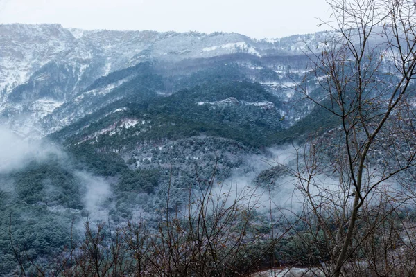 Beau Paysage Montagne Avec Des Plantes Hiver Dans Brume Nuages — Photo