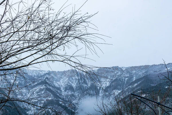 Beau Paysage Montagne Avec Des Plantes Hiver Dans Brume Nuages — Photo