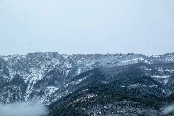 Bellissimo Paesaggio Montano Con Piante Inverno Nebbia Nuvole Neve — Foto Stock