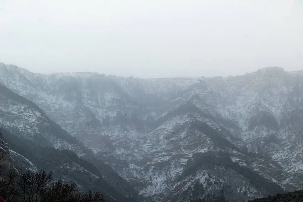 Bellissimo Paesaggio Montano Con Piante Inverno Nebbia Nuvole Neve — Foto Stock