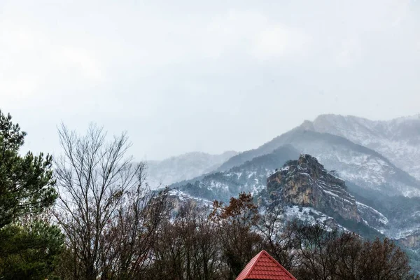 Bellissimo Paesaggio Montano Con Piante Inverno Nebbia Nuvole Neve — Foto Stock