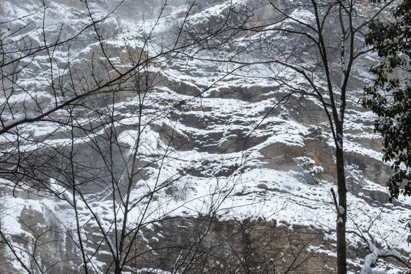 Bellissimo Paesaggio Invernale Montagna Con Alberi Piante Rocce Neve Che — Foto Stock