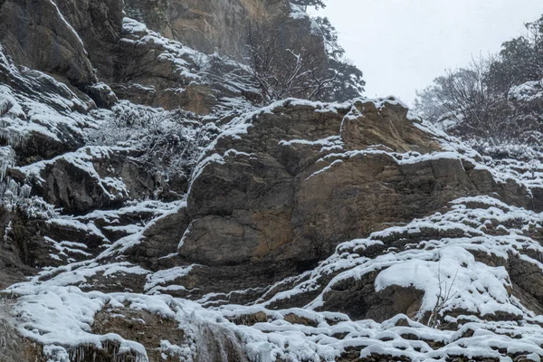 Bellissimo Paesaggio Invernale Montagna Con Alberi Piante Rocce Neve Che — Foto Stock