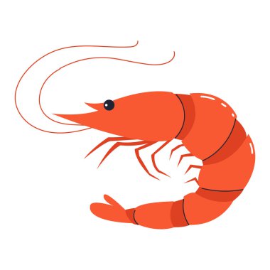 Şirin bir karides çizimi. Deniz ürünleri, deniz yaşamı, su hayvanı konsepti. Menüler, gıda ambalajı ve eğitim malzemeleri için mükemmel.