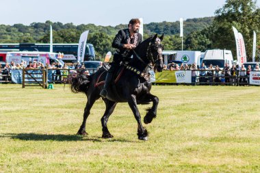 Gösteri sanatçısı Jonathan Marshall, siyah Frizya aygırını 2019 Frome Cheese Show 'un ana arenasında sürüyor.