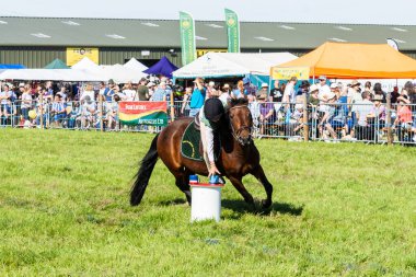 Genç bir binici ve onların midillisi yeteneklerini Frome Cheese Show 14 Eylül 2019 'daki Pony kulübü turlarından birinde gösteriyorlar.