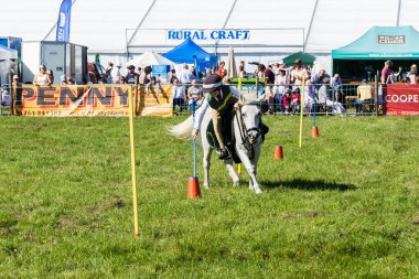 Genç bir binici ve onların midillisi yeteneklerini Frome Cheese Show 14 Eylül 2019 'daki Pony kulübü turlarından birinde gösteriyorlar.