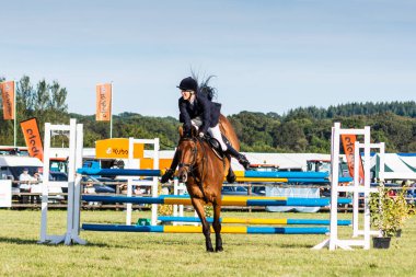 14 Eylül 2019 'da Frome Cheese gösterisinde atlama dersinden atladıktan sonra iniş yapan bir atın ön görüntüsü.