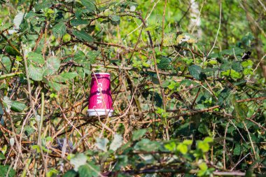 Kosta Kahvesi kağıt bardağı çöpe atılabilir.