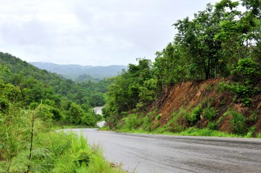 orman yolu. manzara.
