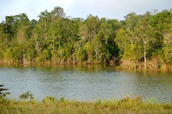 Vista de outono de lago — Fotografia de Stock