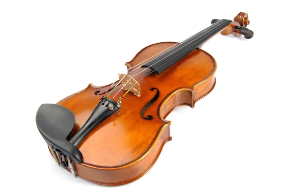 Geige isoliert — Stockfoto