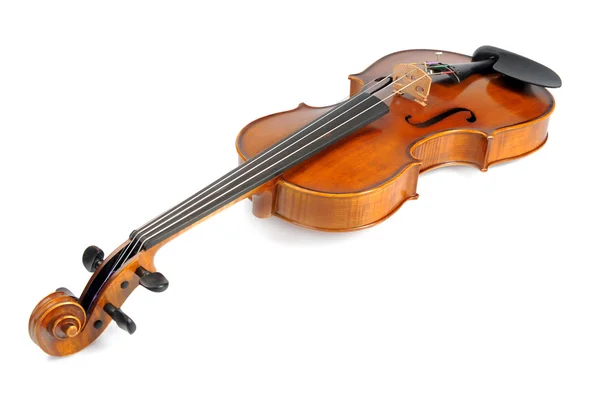 Violin isolate — Stock Photo, Image