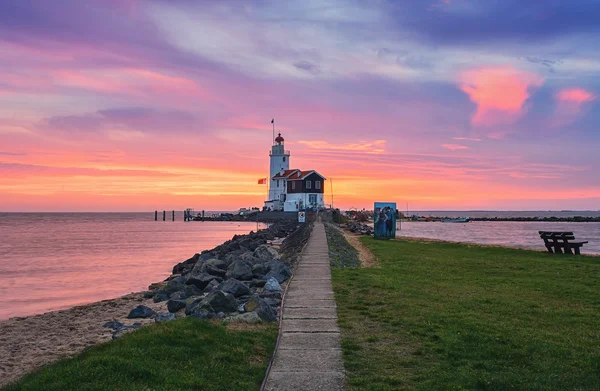 Horse of Marken — Stock Photo, Image