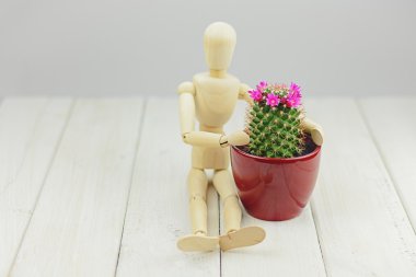 Çiçek açan kaktüs ve kukla ahşap bir masa üzerinde.