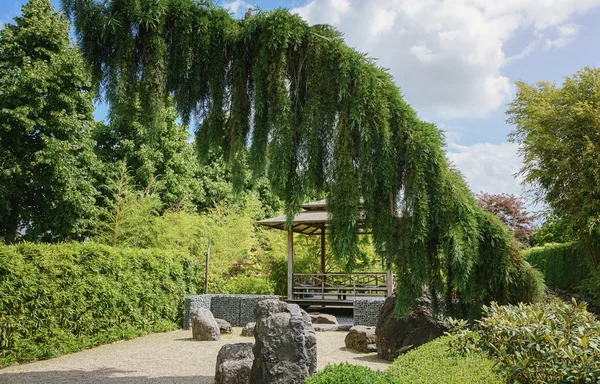 Hermosa idea jardín . — Foto de Stock