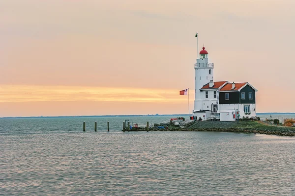 Pferd von marken Leuchtturm ijsselmeer holland volendam netherlan — Stockfoto