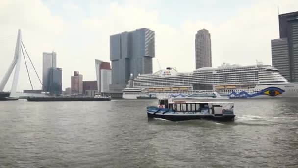 Aida cruise ship moored at the Meuse quay in Rotterdam — Stock Video