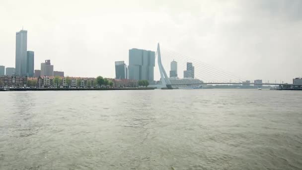 Vue sur le pont Erasmus au-dessus de la Nieuwe Maas . — Video