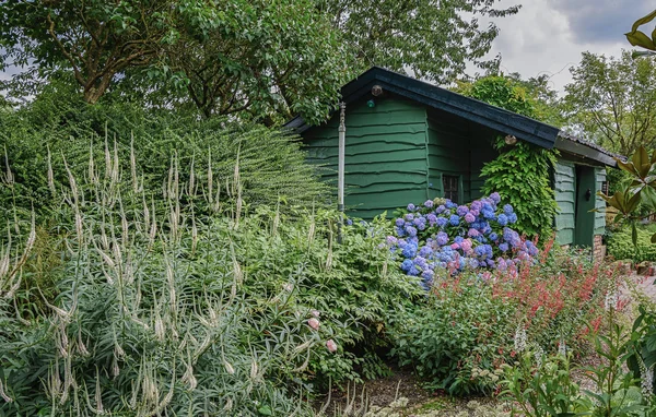庭の緑の家の庭. — ストック写真