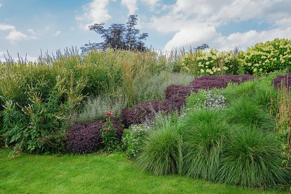 Lawn and a border of flowering plants. — Stock Photo, Image