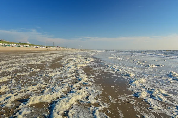 Schiuma marina sulla riva del Mare del Nord . — Foto Stock