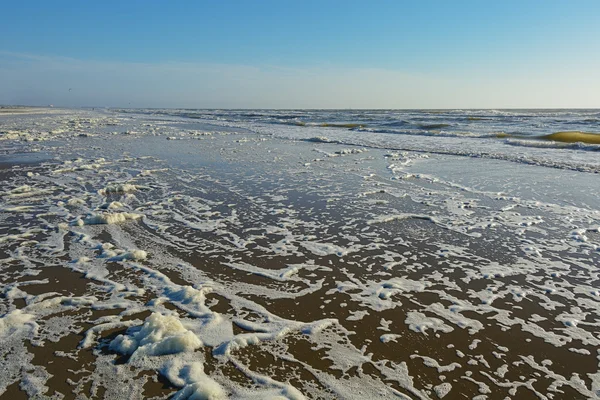 Mousse de mer sur le rivage de la mer du Nord . — Photo