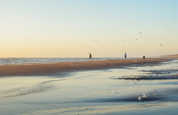 Вечірня прогулянка на заході сонця на пляжі — стокове фото