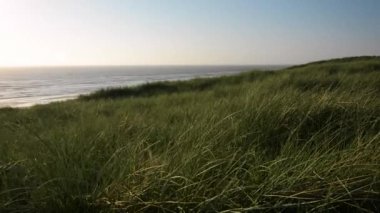 Kuzey Denizi kıyılarında kumullar akşamları