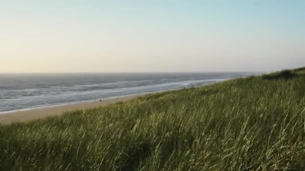 Tarde en las dunas de la costa del Mar del Norte — Vídeos de Stock