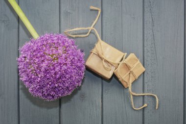 İki kutu hediyeler ve karanlık bir arka plan üzerinde büyük bir çiçek