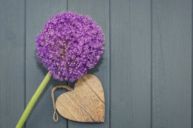 Allium karanlık bir arka plan üzerinde ahşap bir kalp