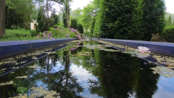 美丽的倒影与平静的水面上装饰池塘 — 图库视频影像