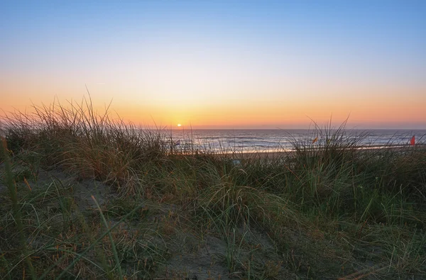 'S avonds in de duinen en de standpunten van de zonsondergang op zee door — Stockfoto