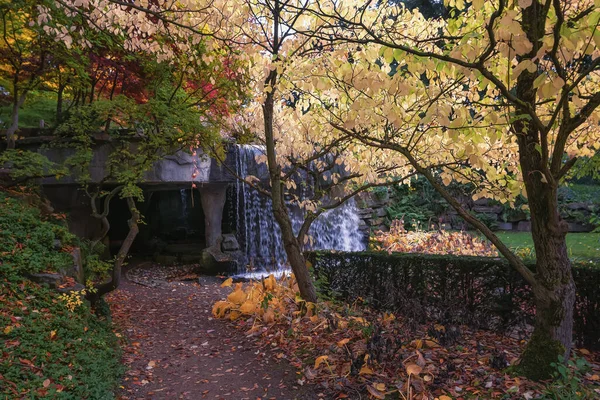 Parc Dans Belles Couleurs Automne Quelque Part Aux Pays Bas — Photo