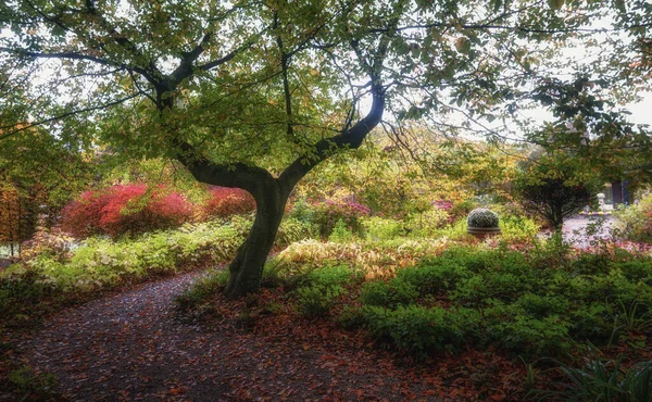 Парк Красивых Осенних Цветах Нидерландах — стоковое фото