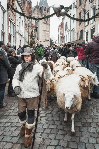 2018 Deventer Netherlands December 2018 Shepteess Sheeps Old Town Deventer — 스톡 사진