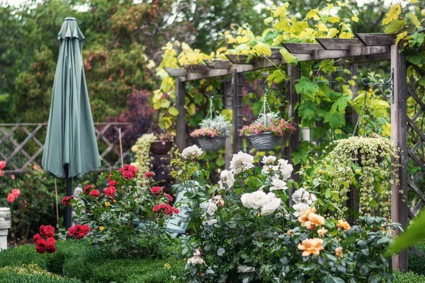 Красивый Сад Полный Цветущих Цветов Нидерландах — стоковое фото