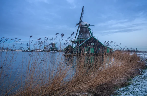 Paisagem rural holandesa — Fotografia de Stock