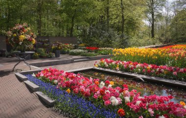 Keukenhof ziyareti.