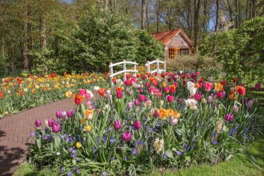 Keukenhof ziyareti.