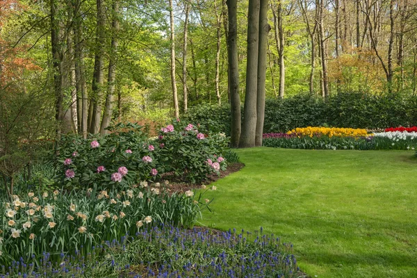 Una visita al Keukenhof . —  Fotos de Stock