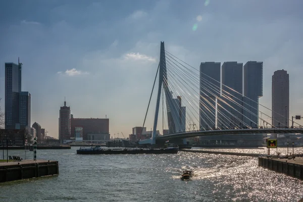 Rotterdam, bridge: de Erasmusbrug — Stok fotoğraf