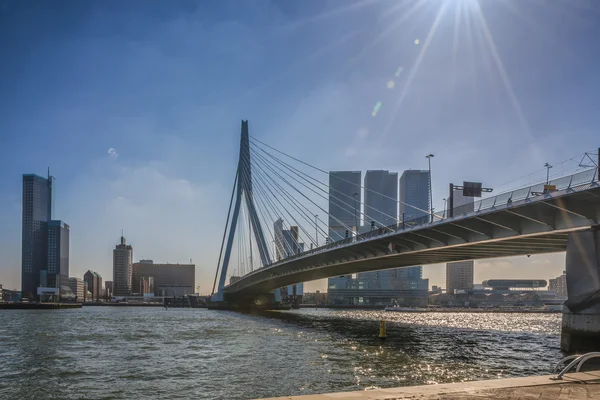 Rotterdam, bridge: de Erasmusbrug — Stok fotoğraf