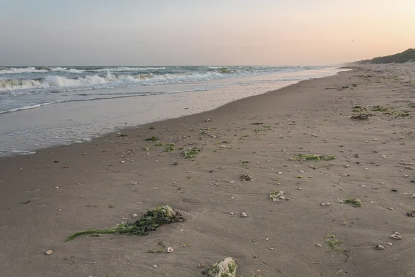 Kerítés, hogy megvédje a dűnék, a holland Wijk aan zee — Stock Fotó