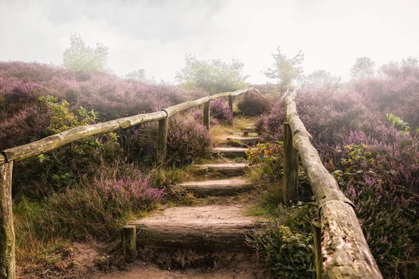 Moorland Veluwe içinde.